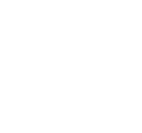 Professional Team