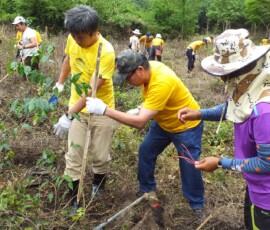 976428355